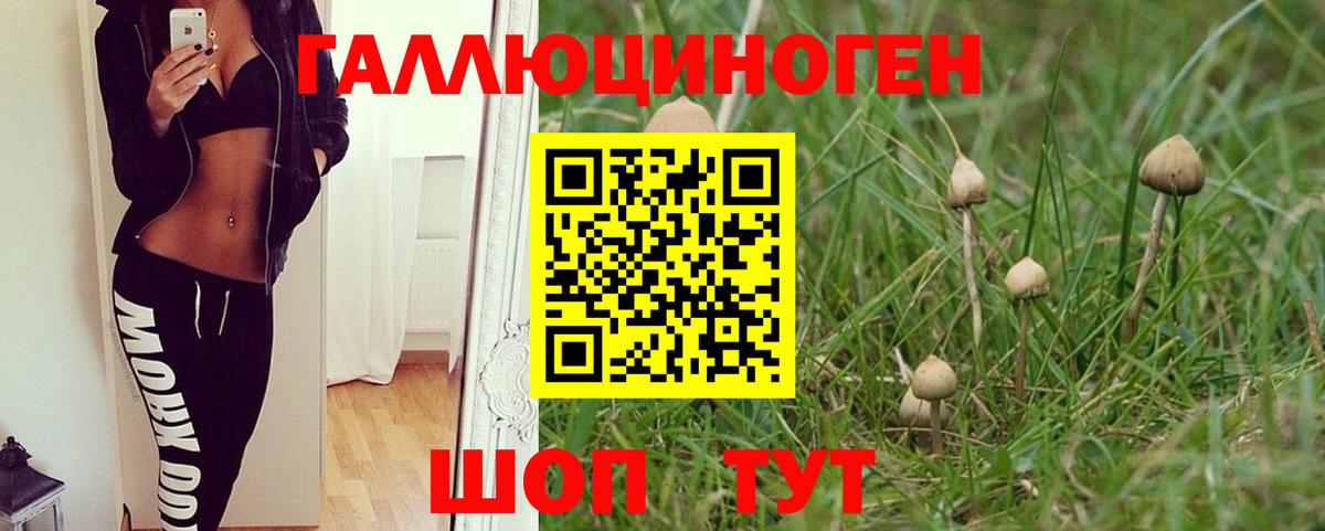 Ливны  Галлюциногенные грибы мухоморы  Вход с VPN 