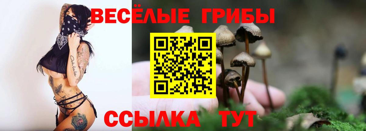 Псилоцибиновые грибы GOLDEN TEACHER Ливны